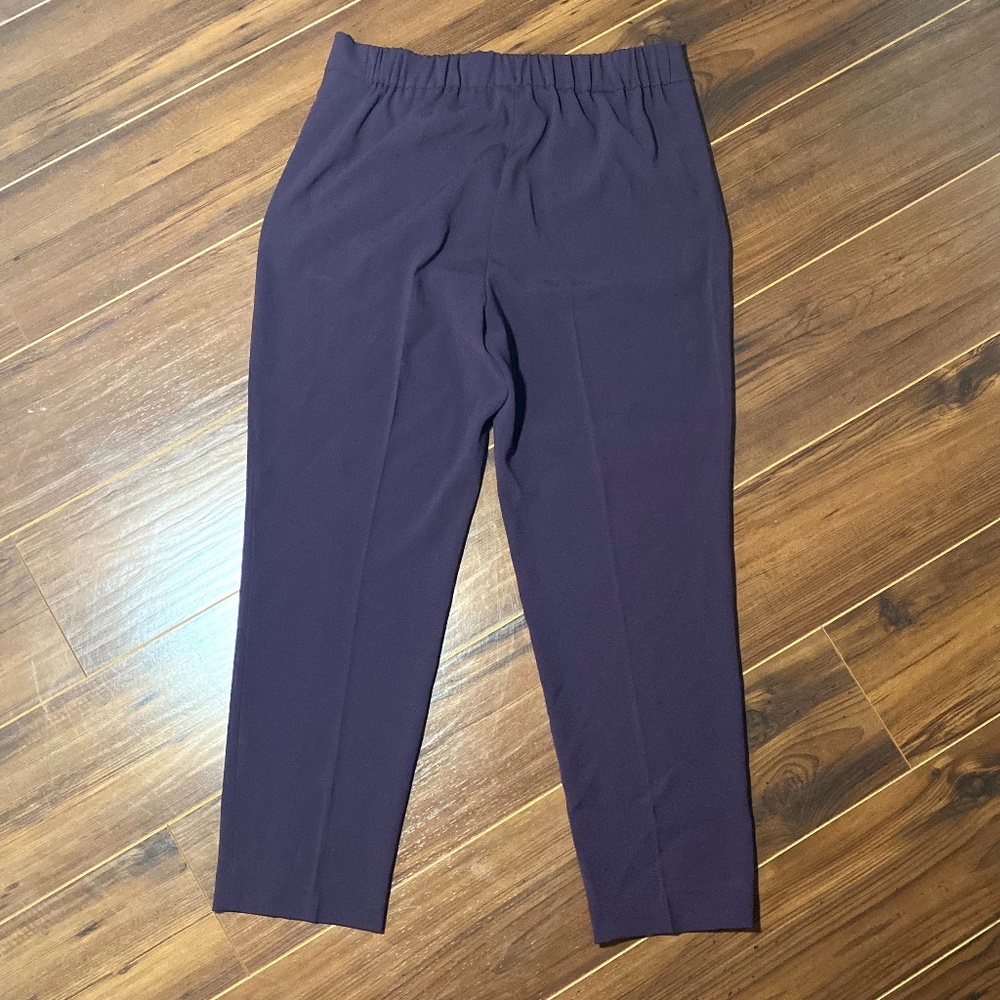 Aritizia Babaton Atelier Pants